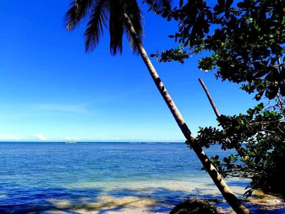 Apartamento Manta Ray'S Cahuita Apart. Exterior foto